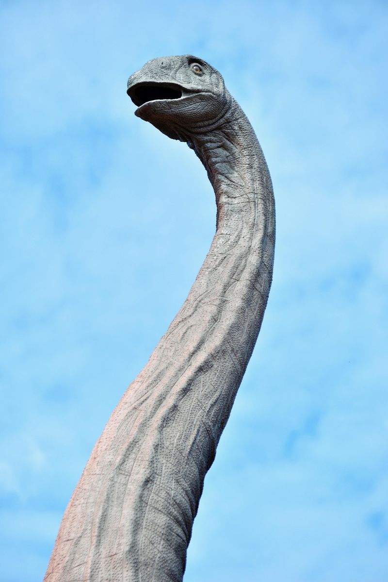 GeschichteErleben GmbH - Image 5